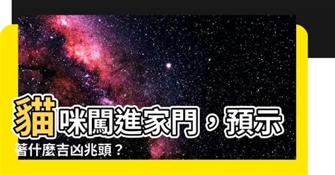 貓進家門|【貓進家門】貓咪進家門，預兆是什麼？